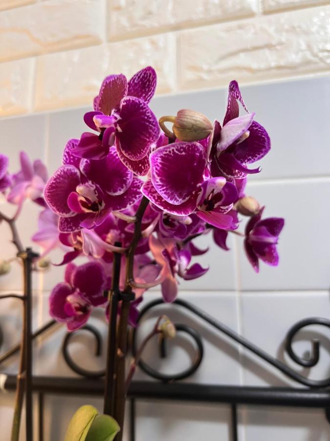 Palazzo Malipiero Apartment Венеция Екстериор снимка