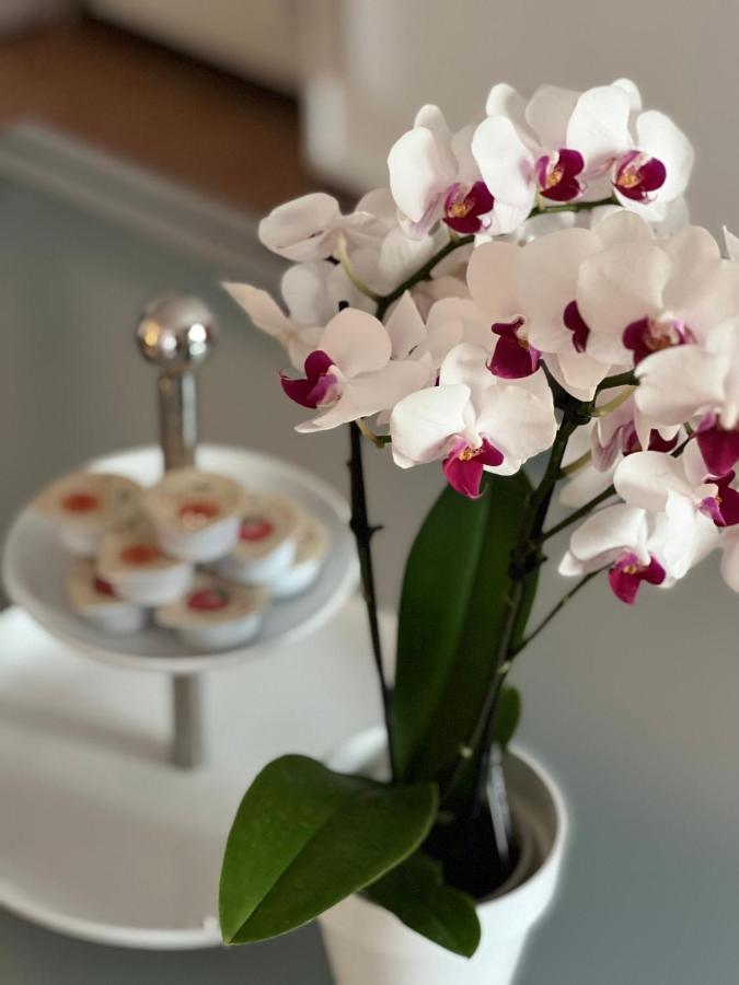 Palazzo Malipiero Apartment Венеция Екстериор снимка